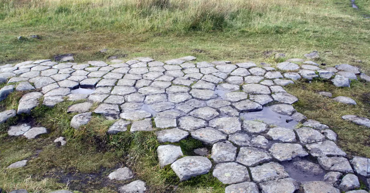 Surface on the ground of the top of basaltic columns with its characteristic polygonal shape like a tile floor but natural at Kirkjugólf.