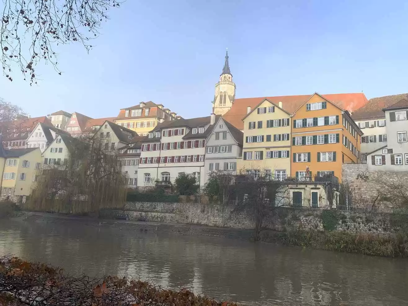 Tubingen river with buildings and trees